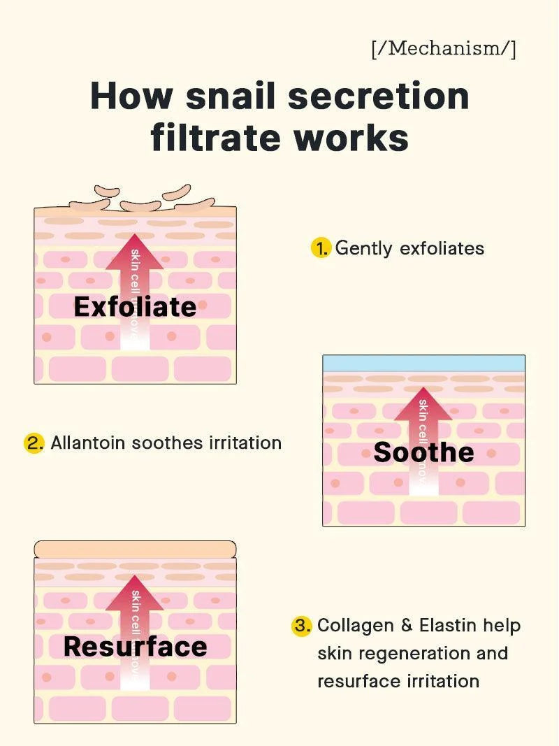 Illustrated skin-layer diagram in a COSRX snail secretion filtrate graphic, with exfoliate, soothe and resurface panels.