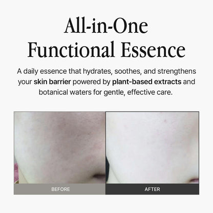 groundplan Essence (120 ml) Korean Essences