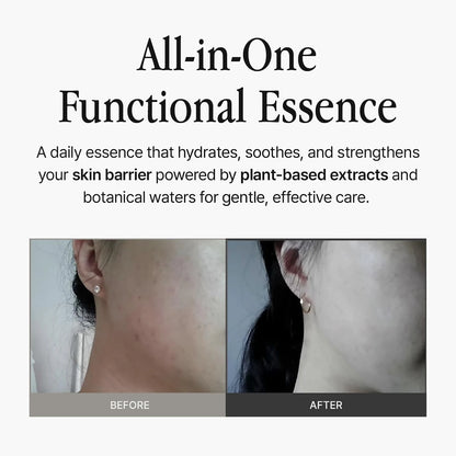 groundplan Essence Compact (40 ml) Korean Essences