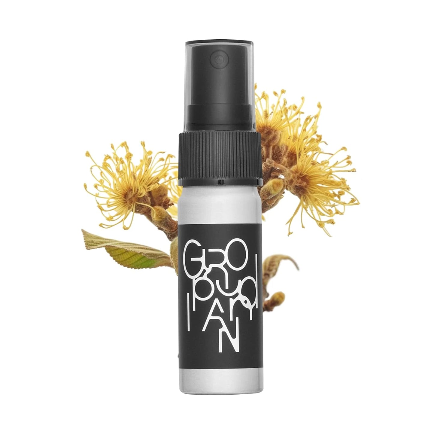 groundplan Mini Mist (20 ml) Korean Face Mists