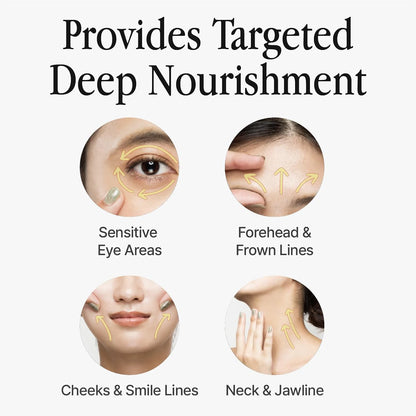 groundplan 6 Balance Multi Oil (20 ml) Korean Moisturizers