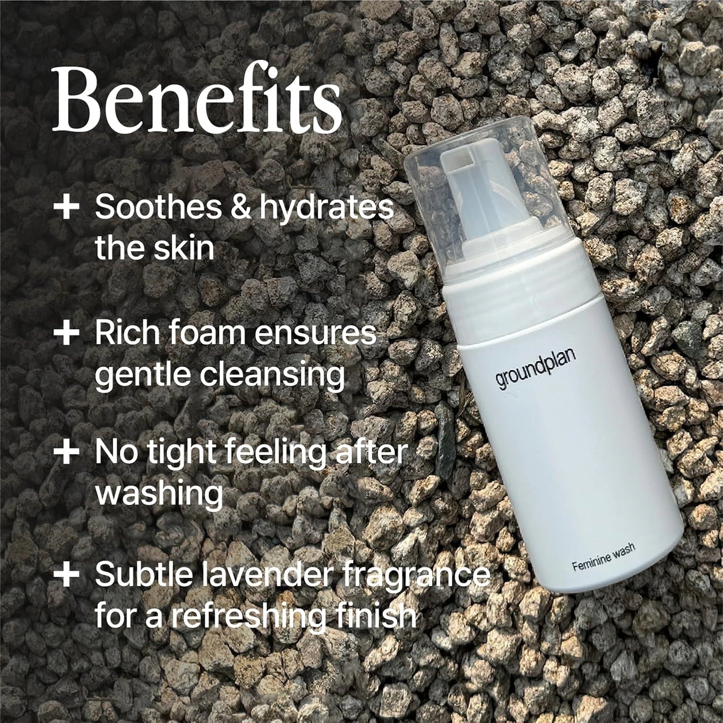 groundplan Feminine Wash (100 ml) Korean Body Care