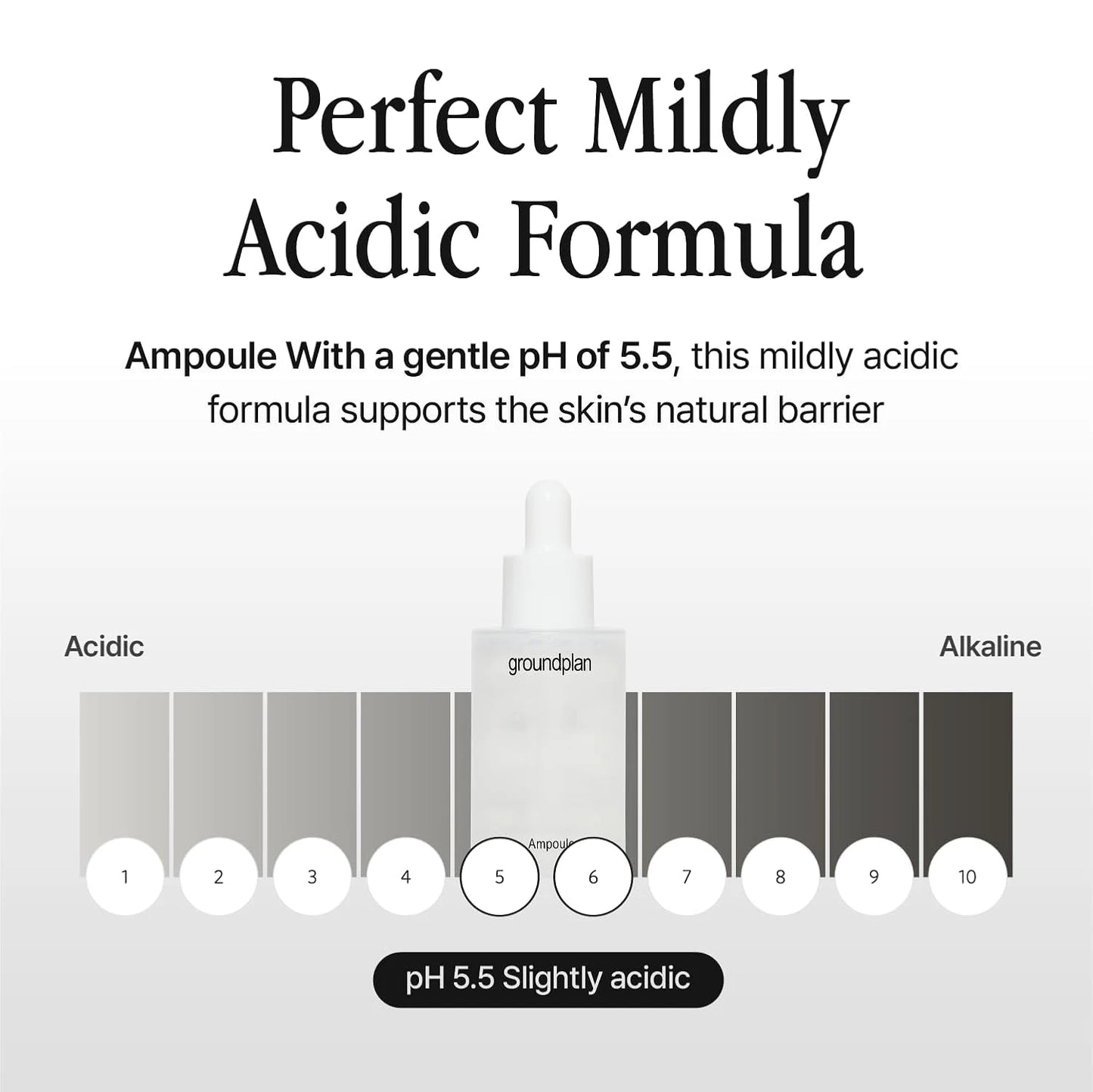 groundplan Ampoule (40 ml) Korean Serums