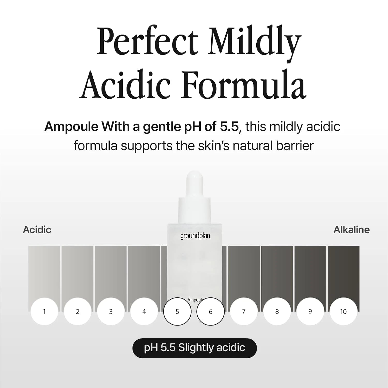 groundplan Ampoule (40 ml) Korean Serums
