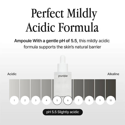 groundplan Ampoule (40 ml) Korean Serums
