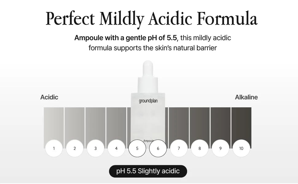 groundplan Ampoule (40 ml) Korean Serums