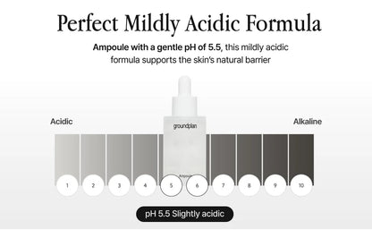 groundplan Ampoule (40 ml) Korean Serums