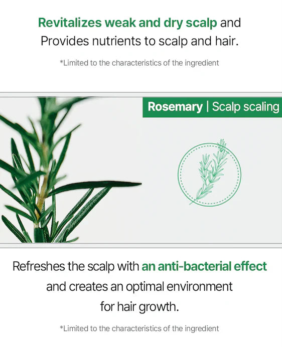 ROOTONIX Rosemary Biotin Scalp Tonic Korean Hair Care