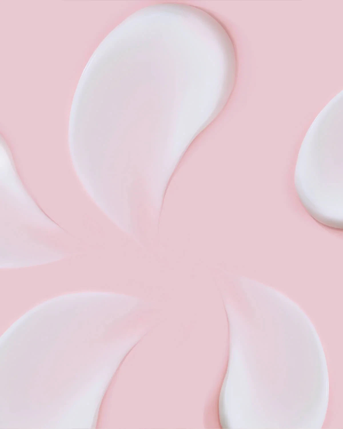 Face Republic Blooming Time Bakuchiol Cream Korean Moisturizers