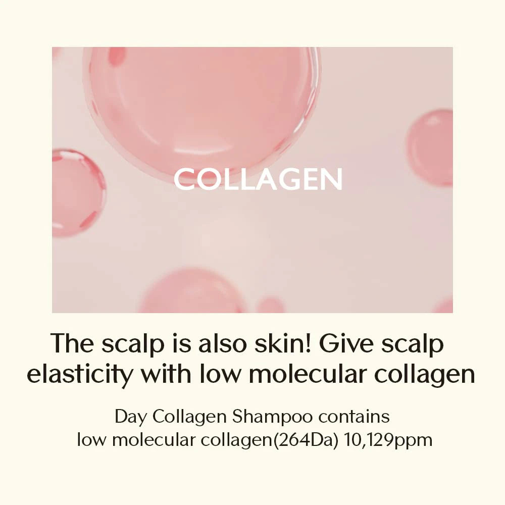 TREECELL Day Collagen Shampoo Morning of Resort Korean Hair Care