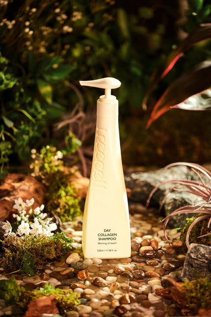 TREECELL Day Collagen Shampoo Morning of Resort Korean Hair Care