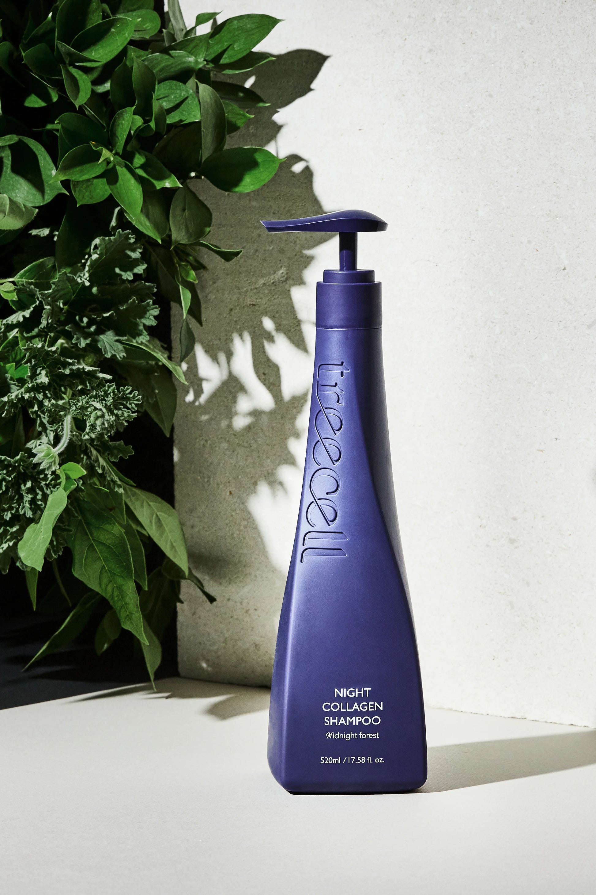 TREECELL Night Collagen Shampoo Midnight Forest Korean Hair Care