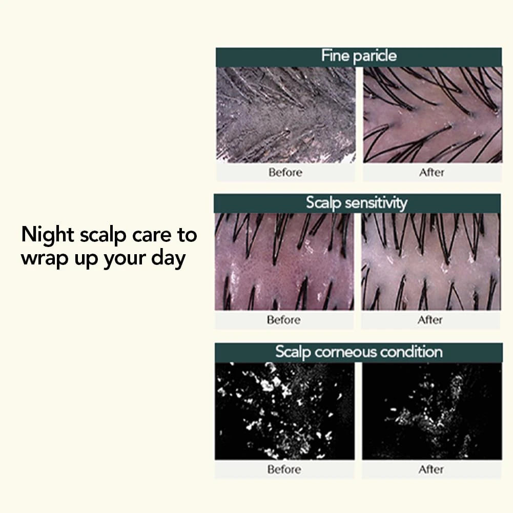 TREECELL Night Collagen Shampoo Midnight Forest Korean Hair Care