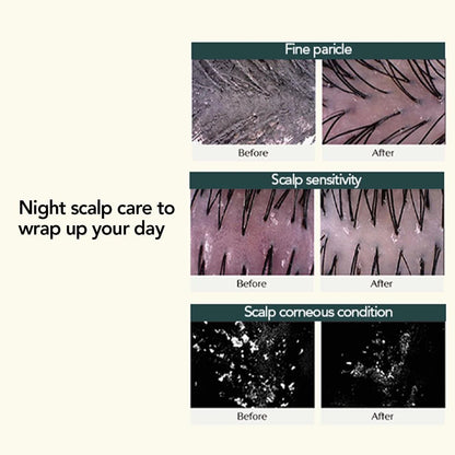 TREECELL Night Collagen Shampoo Midnight Forest Korean Hair Care