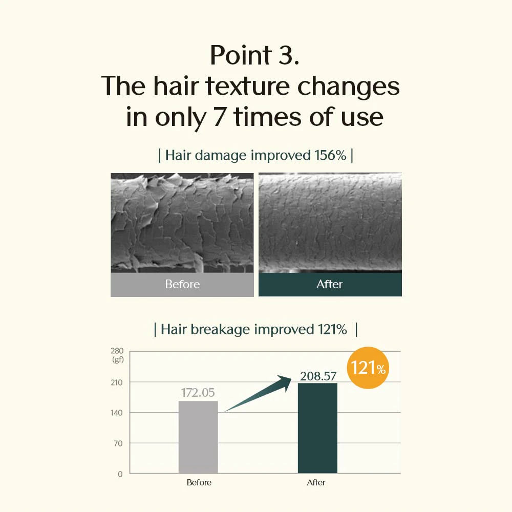 TREECELL Forte Ampoule Treatment Korean Hair Care