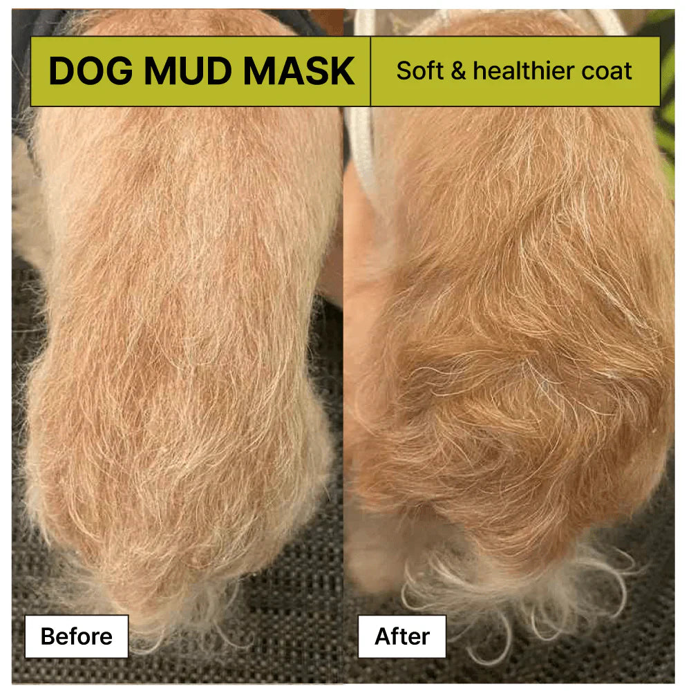 BRMUD Relief Mud Mask Conditioner for Dogs 1000ml