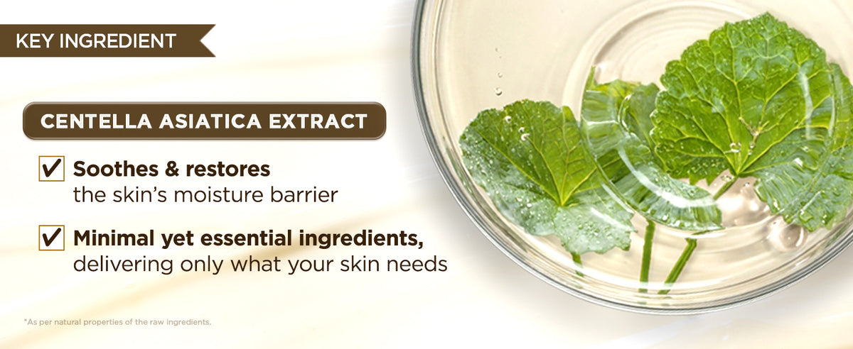 Centella asiatica leaves in a glass dish, with ingredient notes on soothing care and moisture barrier support.