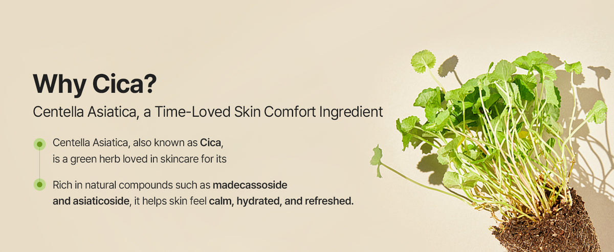 mixsoon Soondy Centella Asiatica Essence, 100ml product information panel 02