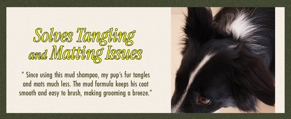BRMUD Relief Mud Shampoo for Dogs 500ml product information panel 04