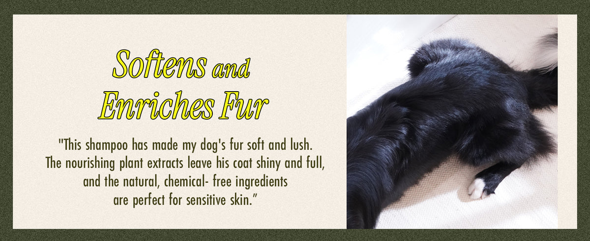 BRMUD Relief Mud Shampoo for Dogs 500ml product information panel 05