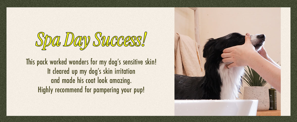 BRMUD Relief Mud Mask Conditioner for Dogs 1000ml product information panel 05