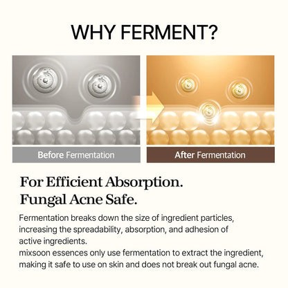 mixsoon Bean Essence fermentation information graphic with ingredient and process callouts.